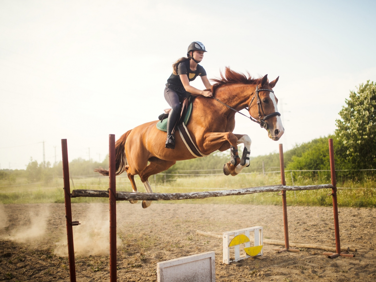 Young female jockey on her horse leaping over hurdle