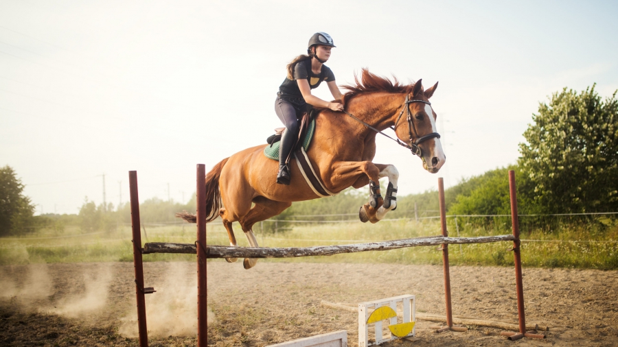 Young female jockey on her horse leaping over hurdle