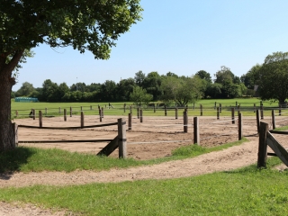 Sand Paddocks