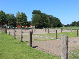Sand Paddocks