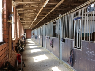 Stallgasse mit ger&auml;umigen Boxen