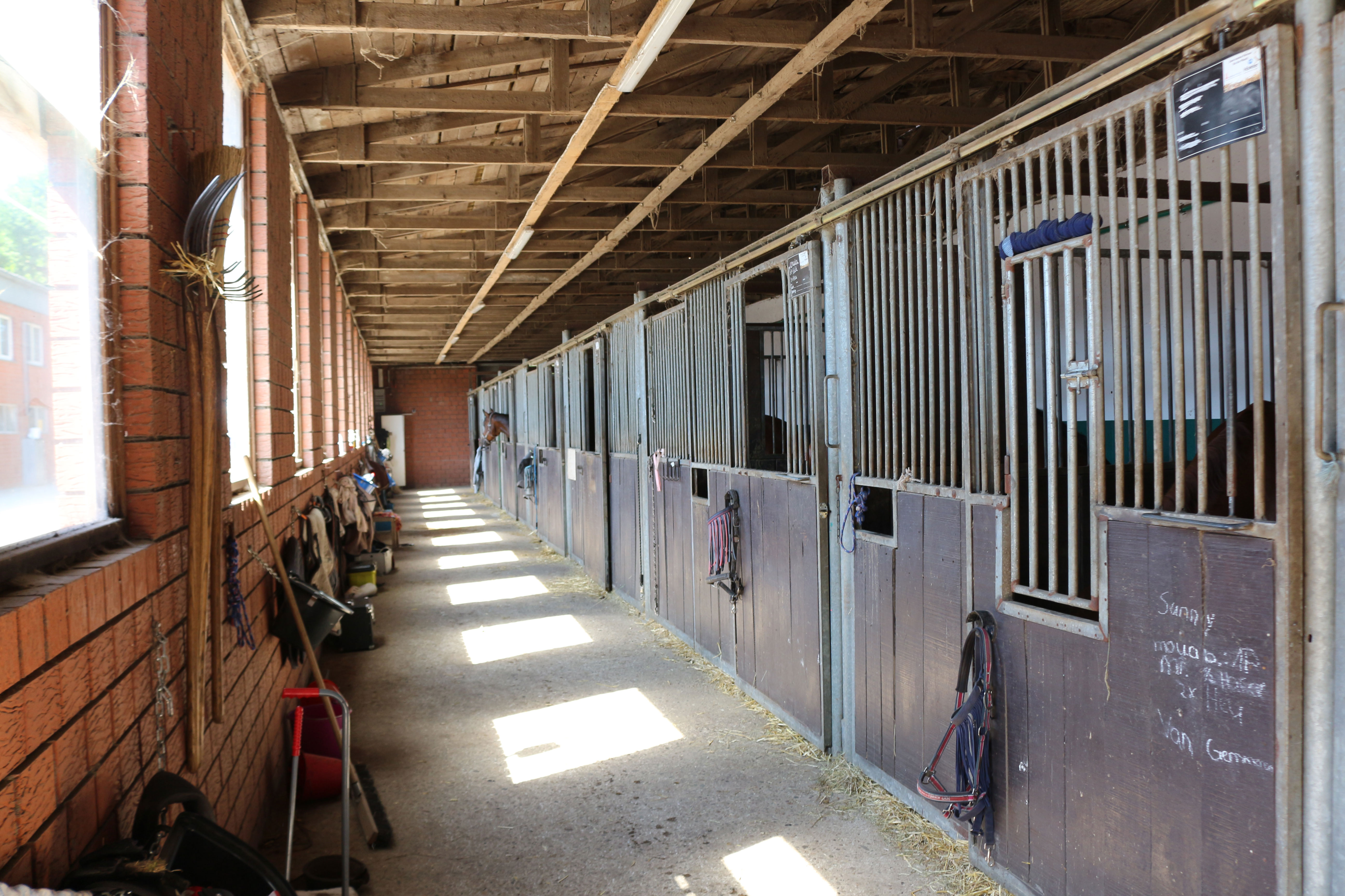 Stallgasse mit geräumigen Boxen