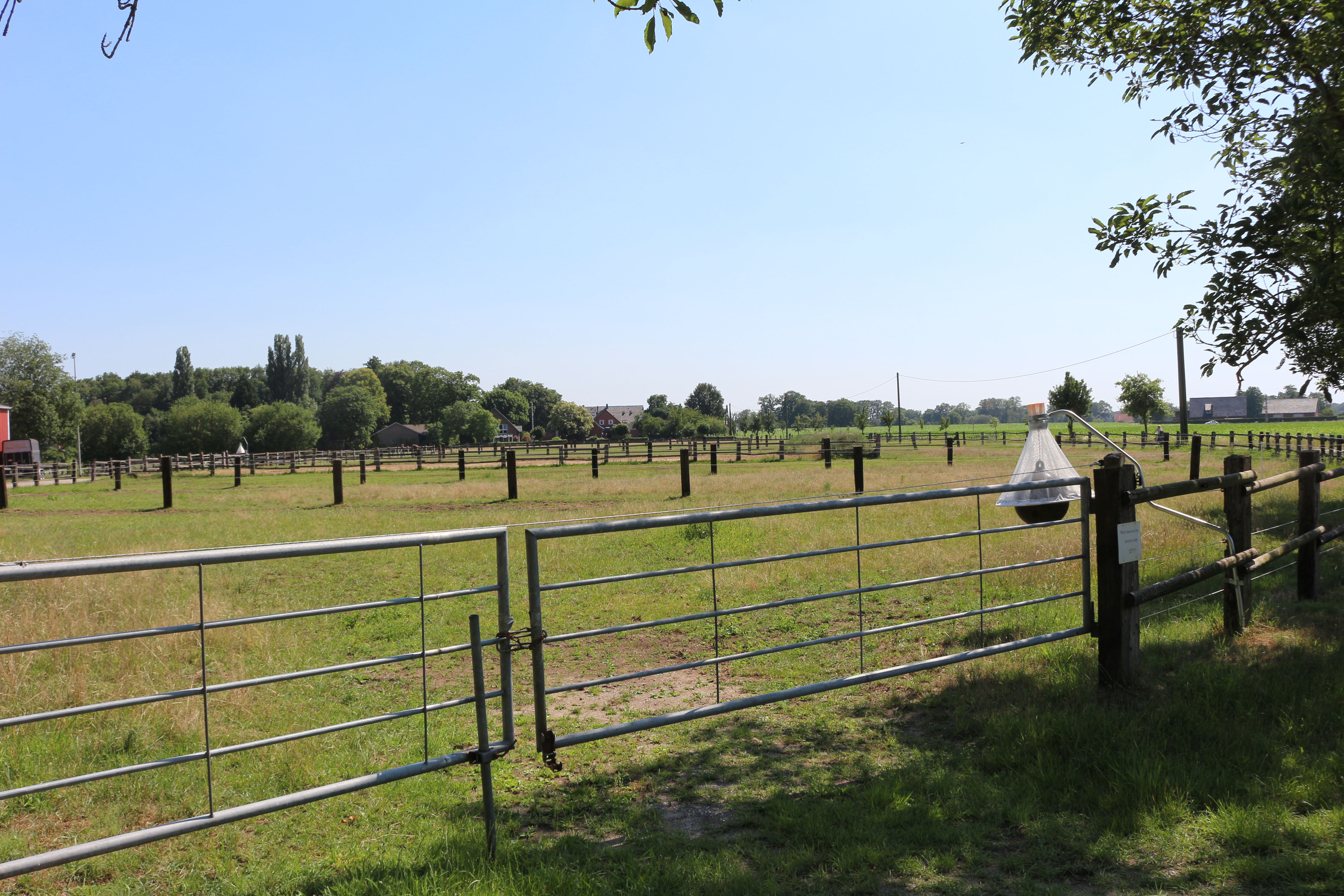 Weiden an der kleinen Reithalle