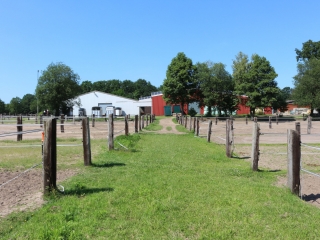 Zugang zu den Sand Paddocks
