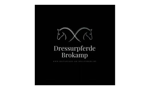Sponsoren_RV_Logo Brokamp