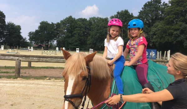 Reitunterricht mit Linda Reitunterricht mit Linda